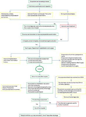 Retroperitoneal laparoscopic partial adrenalectomy (RLPA) for 20-40 mm nonfunctional adrenal tumors in the day surgery mode